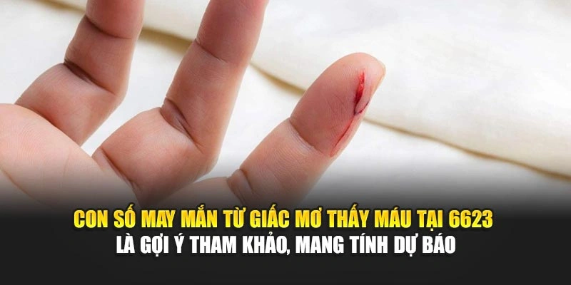Con số may mắn từ giấc mơ thấy máu tại 6623 là gợi ý tham khảo, mang tính dự báo