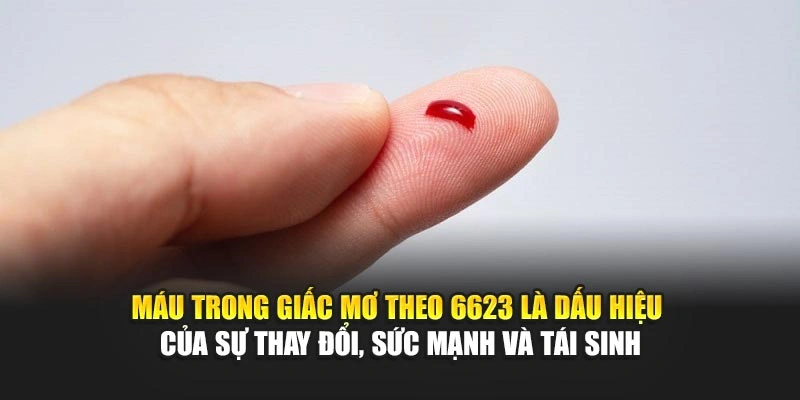 Máu trong giấc mơ theo 6623 là dấu hiệu của sự thay đổi, sức mạnh và tái sinh