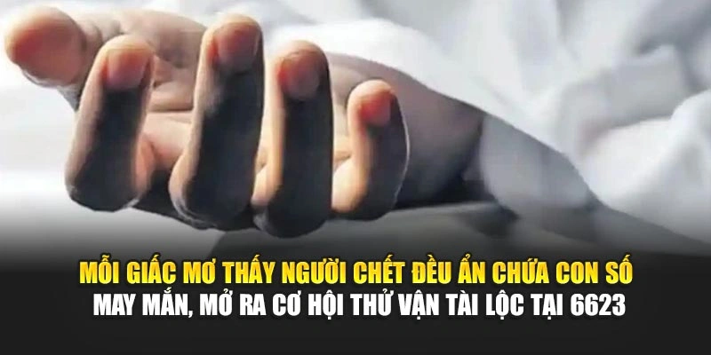 Mỗi giấc mơ thấy người chết đều ẩn chứa con số may mắn, mở ra cơ hội thử vận tài lộc tại 6623