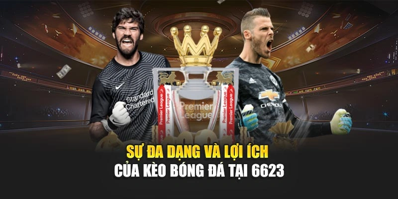 Sự đa dạng và lợi ích của kèo bóng đá tại 6623